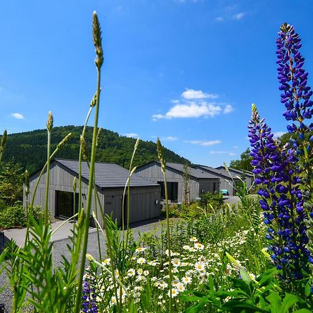 Sauerland Lodge - Haus Maxim วินเทอร์แบร์ก ภายนอก รูปภาพ