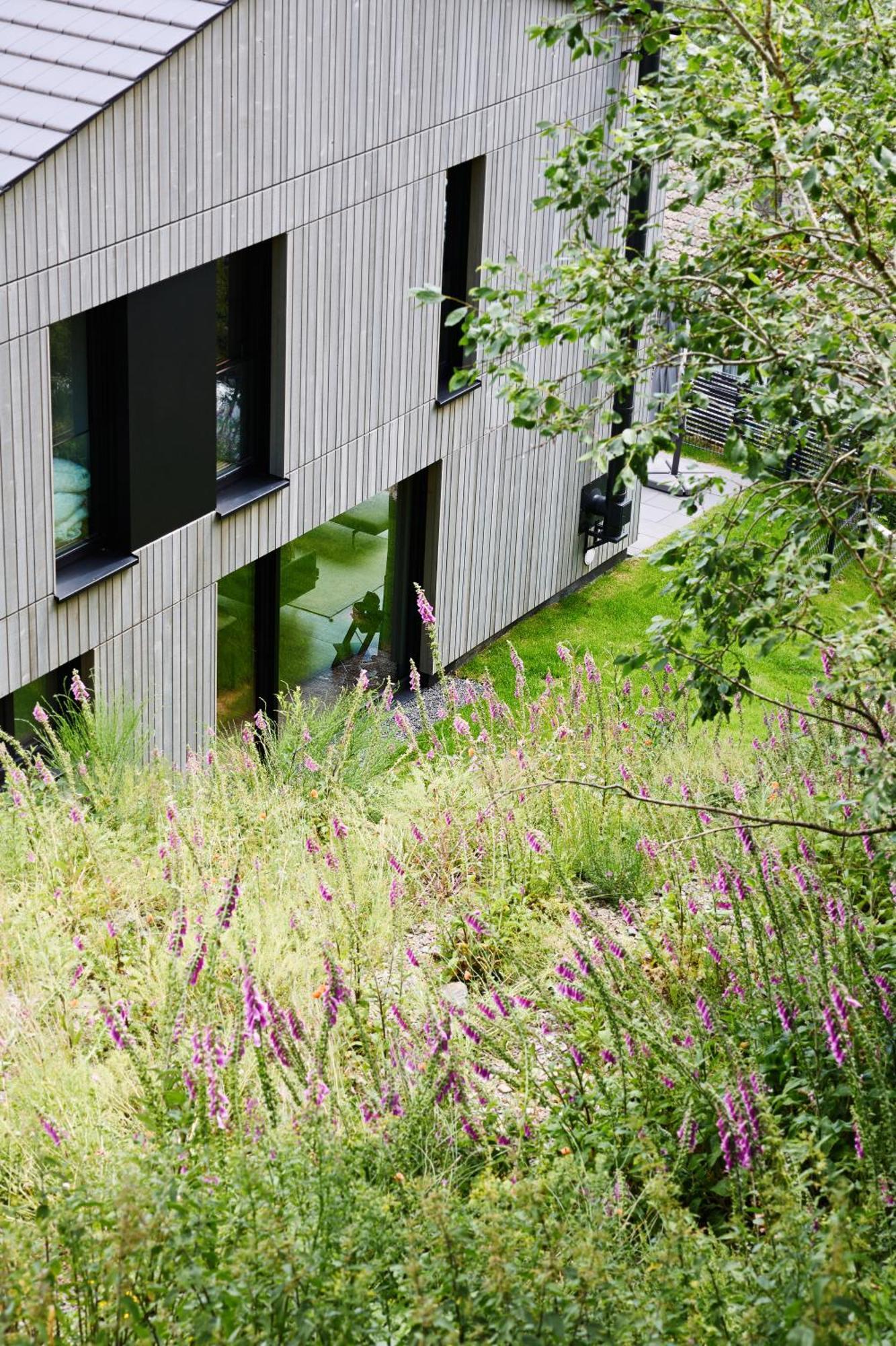 Sauerland Lodge - Haus Maxim วินเทอร์แบร์ก ภายนอก รูปภาพ