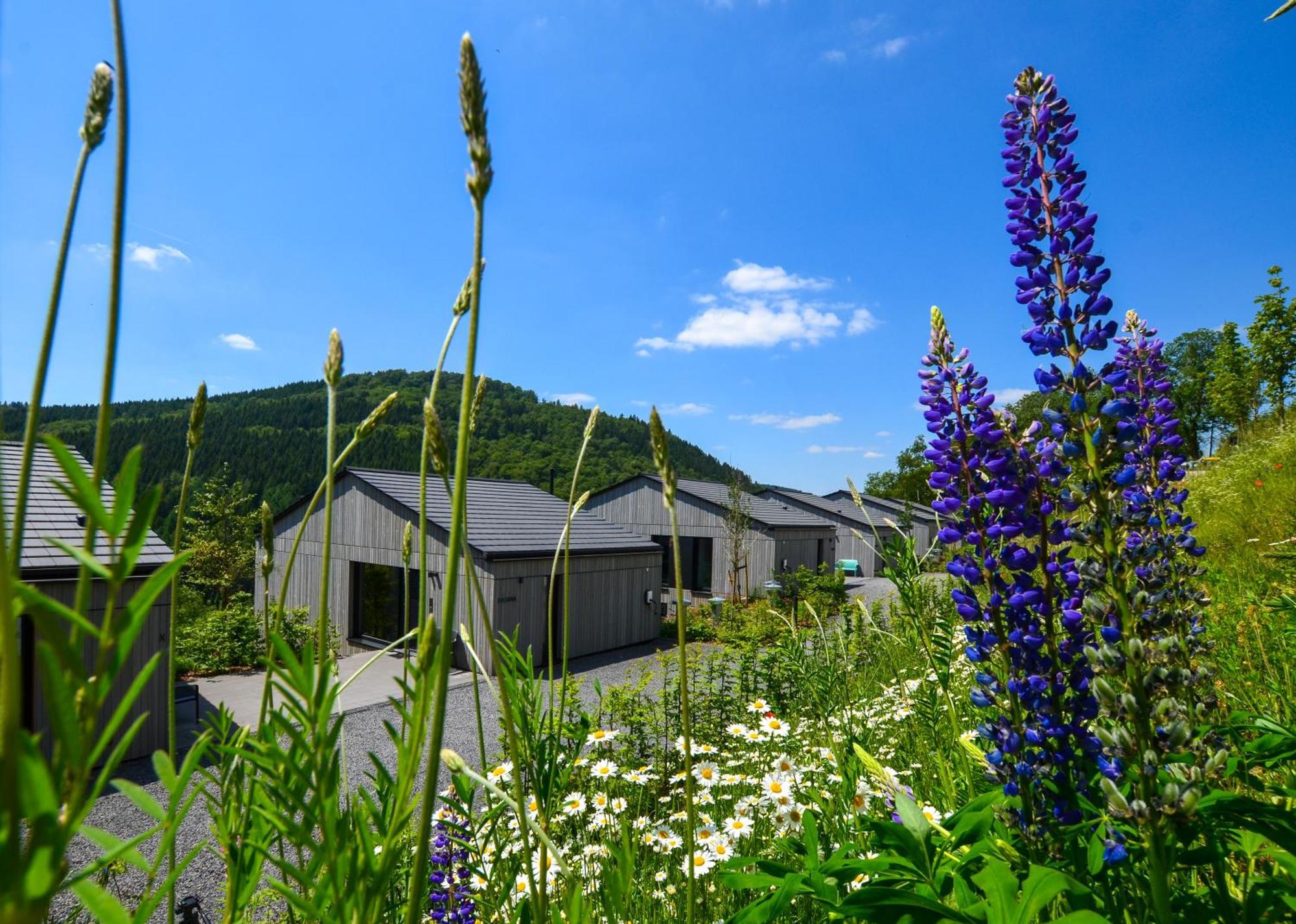 Sauerland Lodge - Haus Maxim วินเทอร์แบร์ก ภายนอก รูปภาพ
